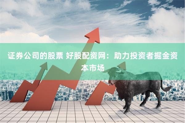 证券公司的股票 好股配资网：助力投资者掘金资本市场