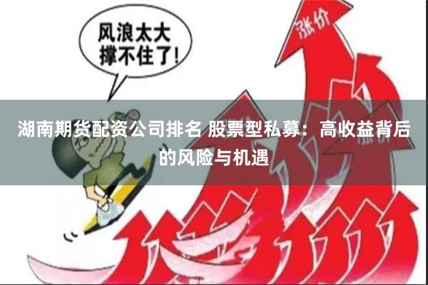 湖南期货配资公司排名 股票型私募：高收益背后的风险与机遇