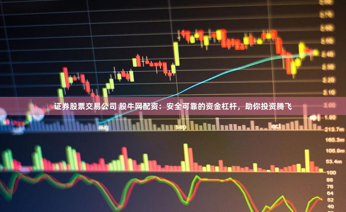 证券股票交易公司 股牛网配资：安全可靠的资金杠杆，助你投资腾飞