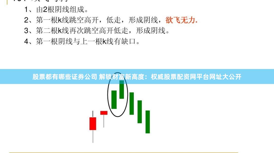 股票都有哪些证券公司 解锁财富新高度：权威股票配资网平台网址大公开