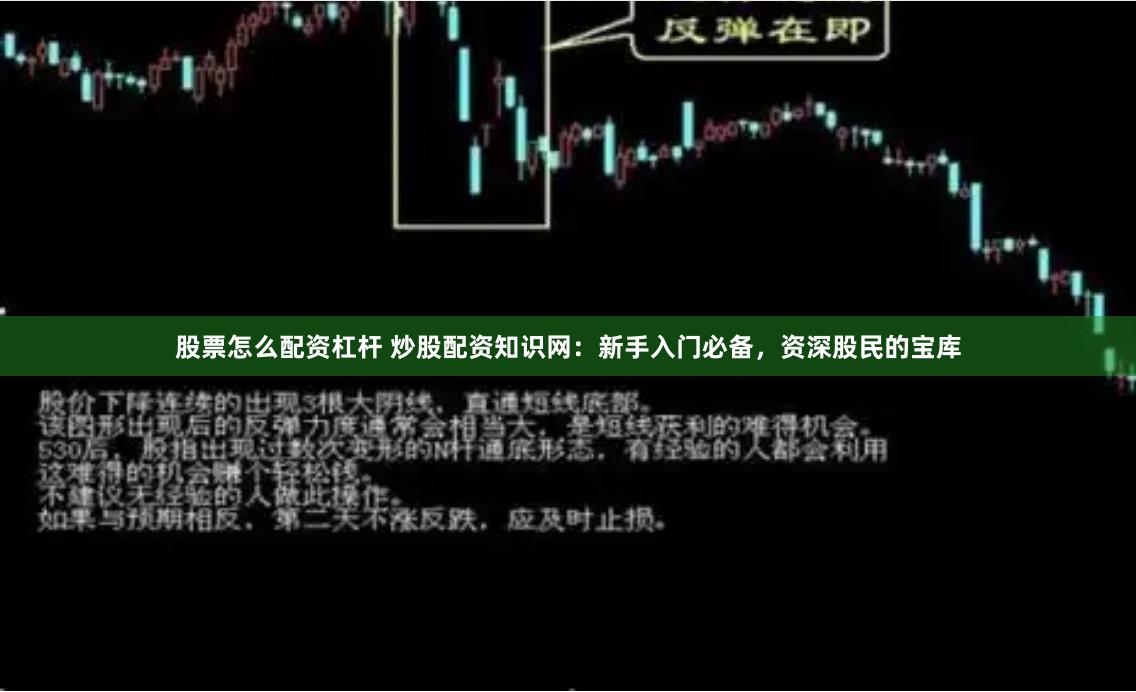 股票怎么配资杠杆 炒股配资知识网：新手入门必备，资深股民的宝库